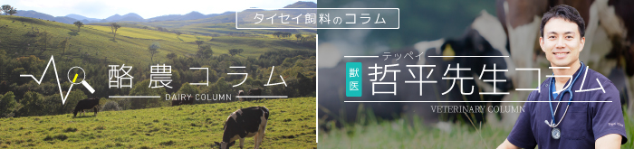 コラム